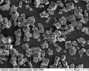 Calcium Carbonate Micro-crystals 500X